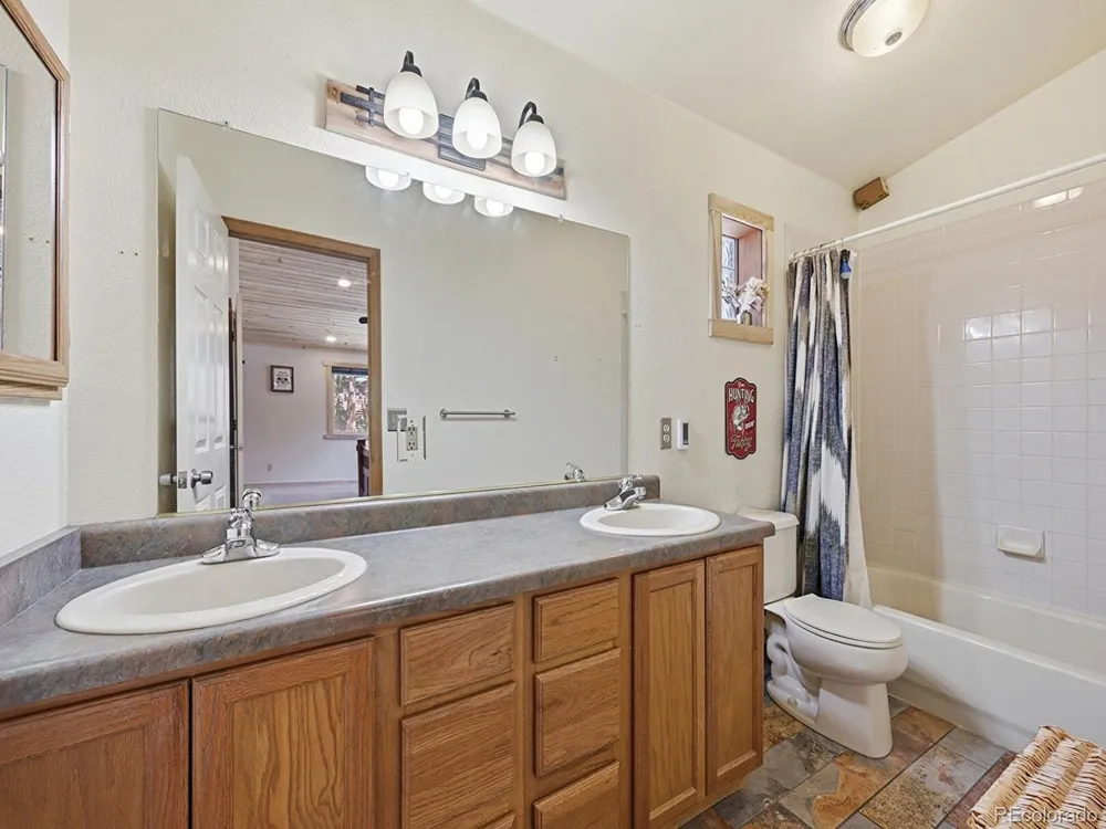 234 Impala Trail Bailey, CO 80421