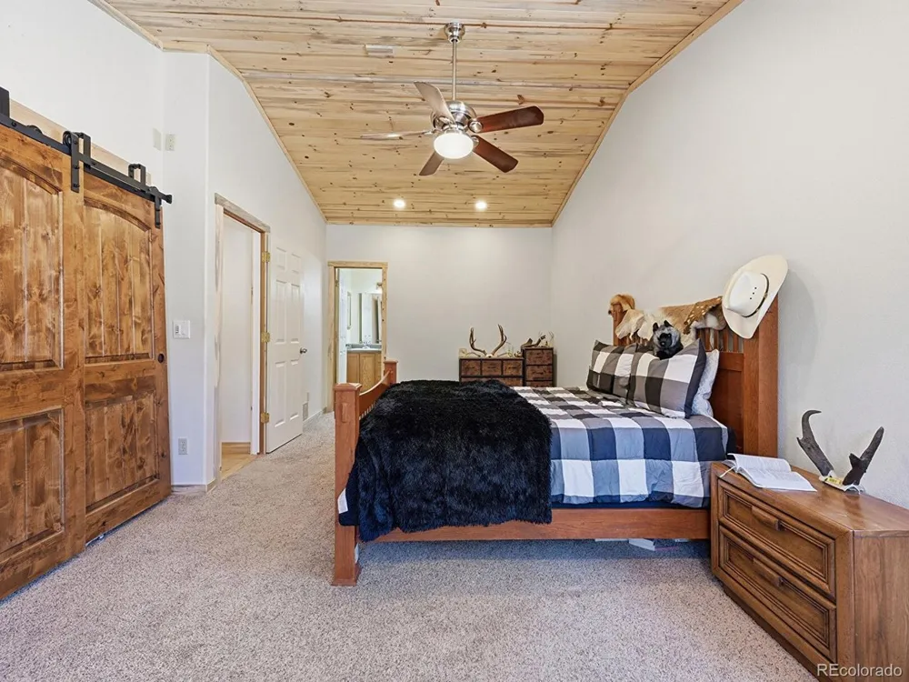 234 Impala Trail Bailey, CO 80421
