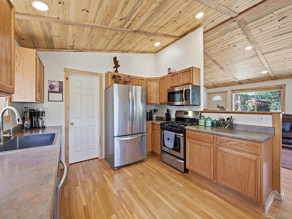234 Impala Trail Bailey, CO 80421