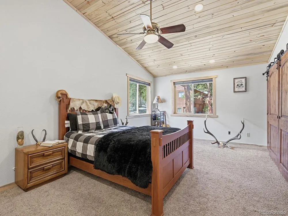 234 Impala Trail Bailey, CO 80421