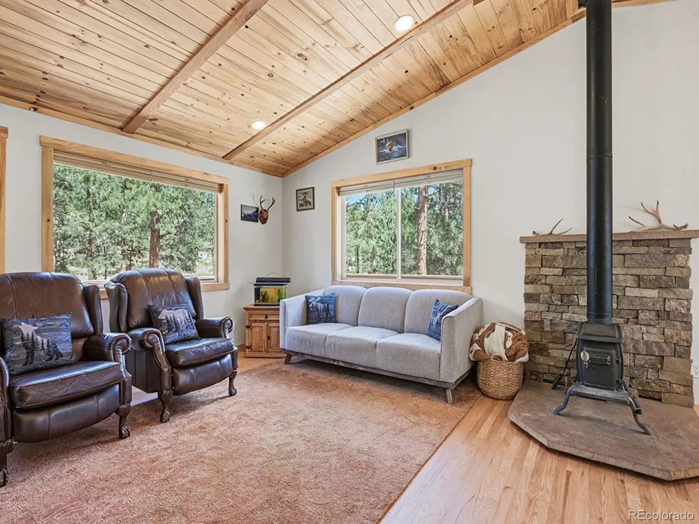 234 Impala Trail Bailey, CO 80421