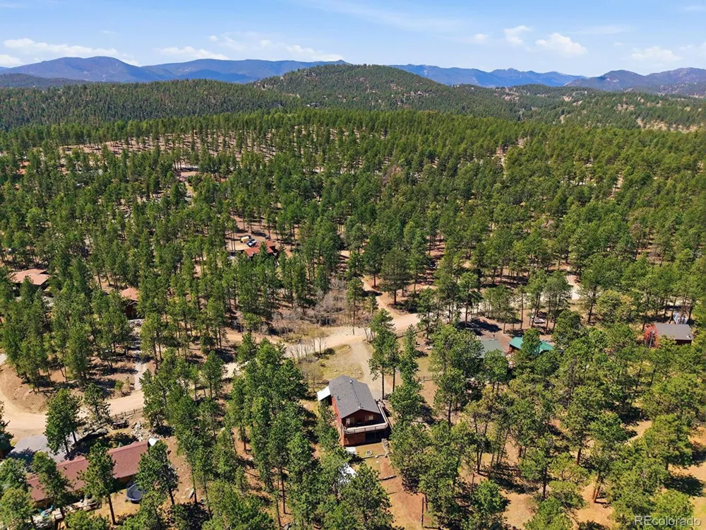 234 Impala Trail Bailey, CO 80421