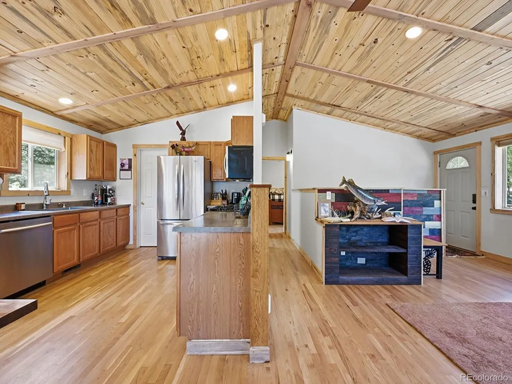 234 Impala Trail Bailey, CO 80421