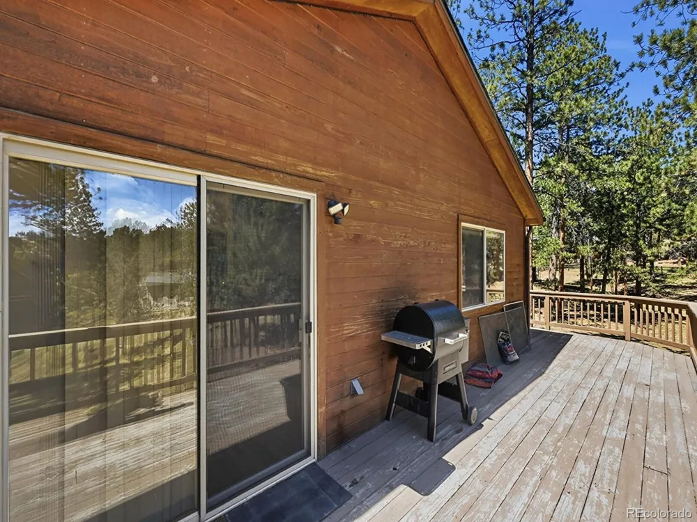 234 Impala Trail Bailey, CO 80421