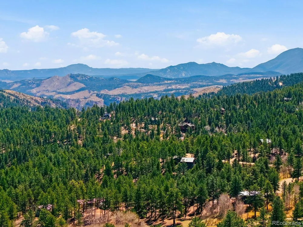 234 Impala Trail Bailey, CO 80421