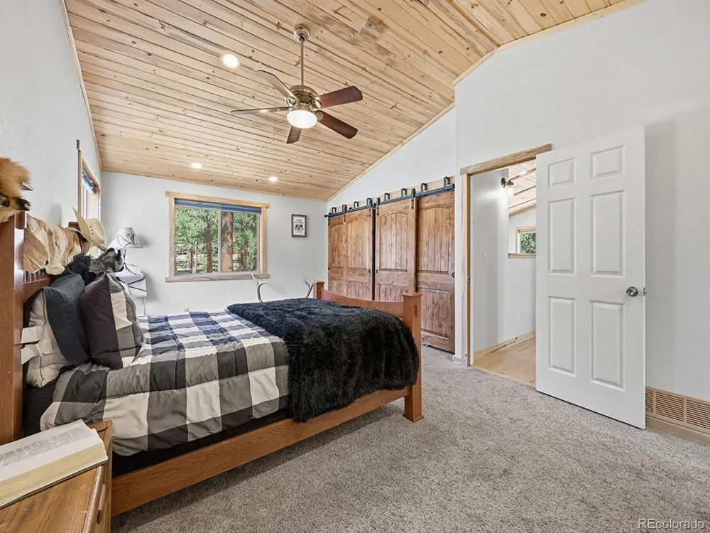 234 Impala Trail Bailey, CO 80421