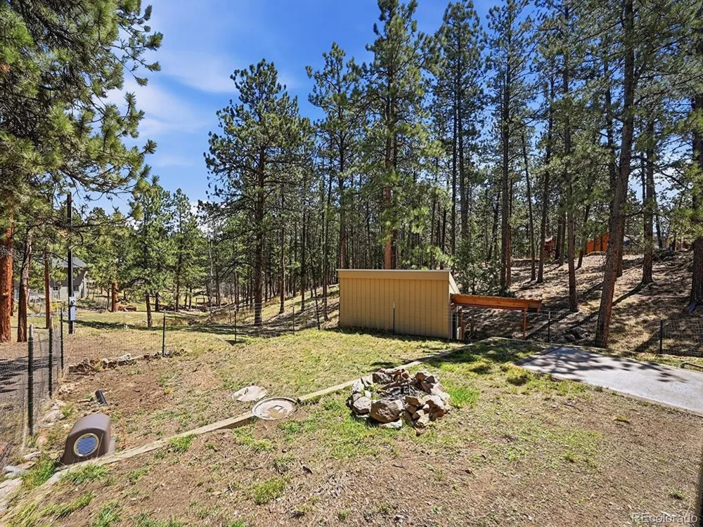 234 Impala Trail Bailey, CO 80421