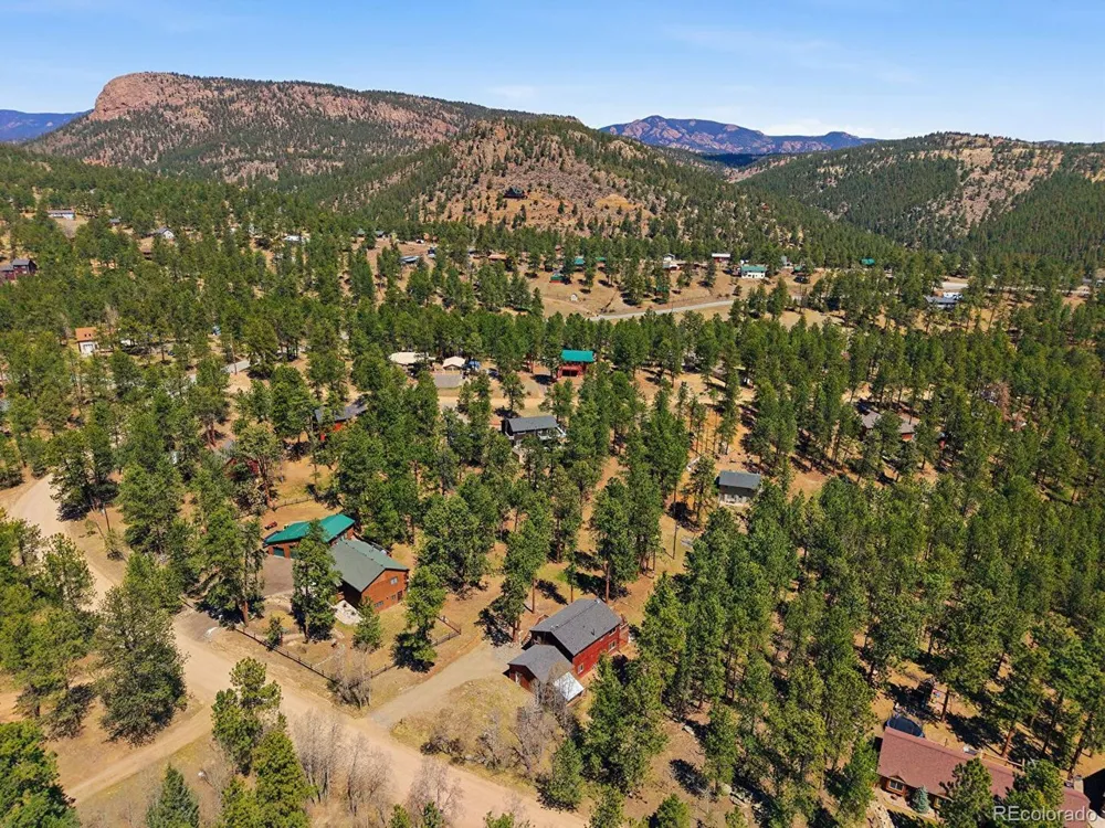 234 Impala Trail Bailey, CO 80421