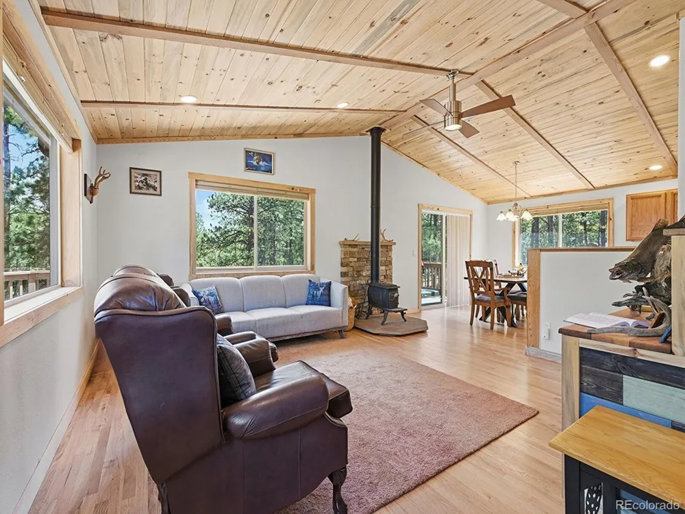 234 Impala Trail Bailey, CO 80421