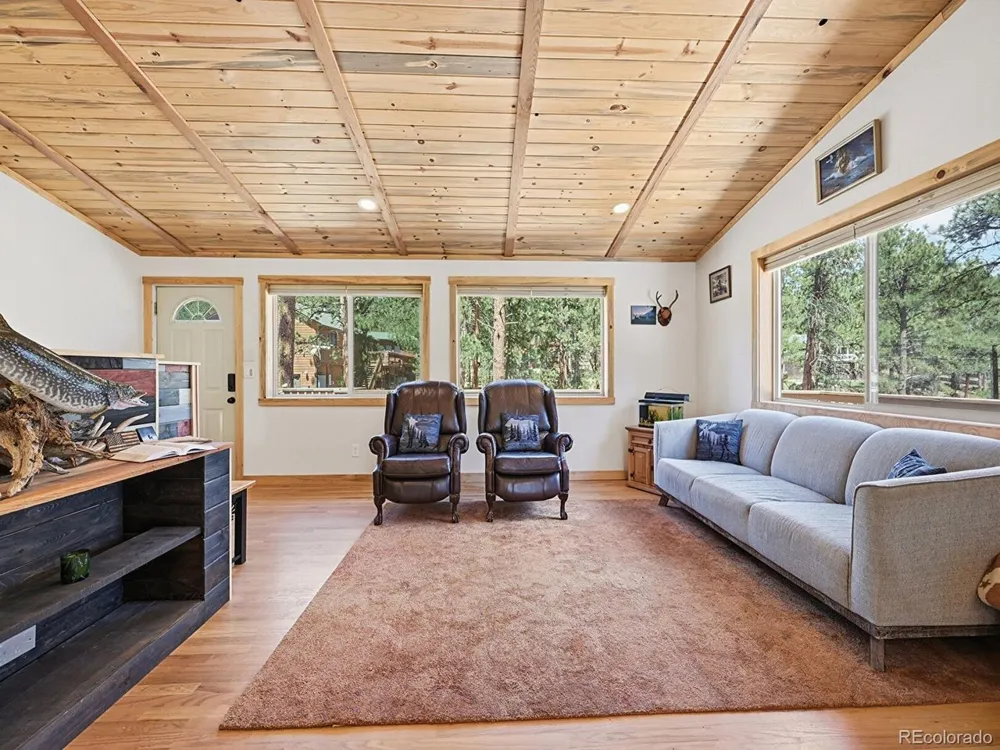 234 Impala Trail Bailey, CO 80421