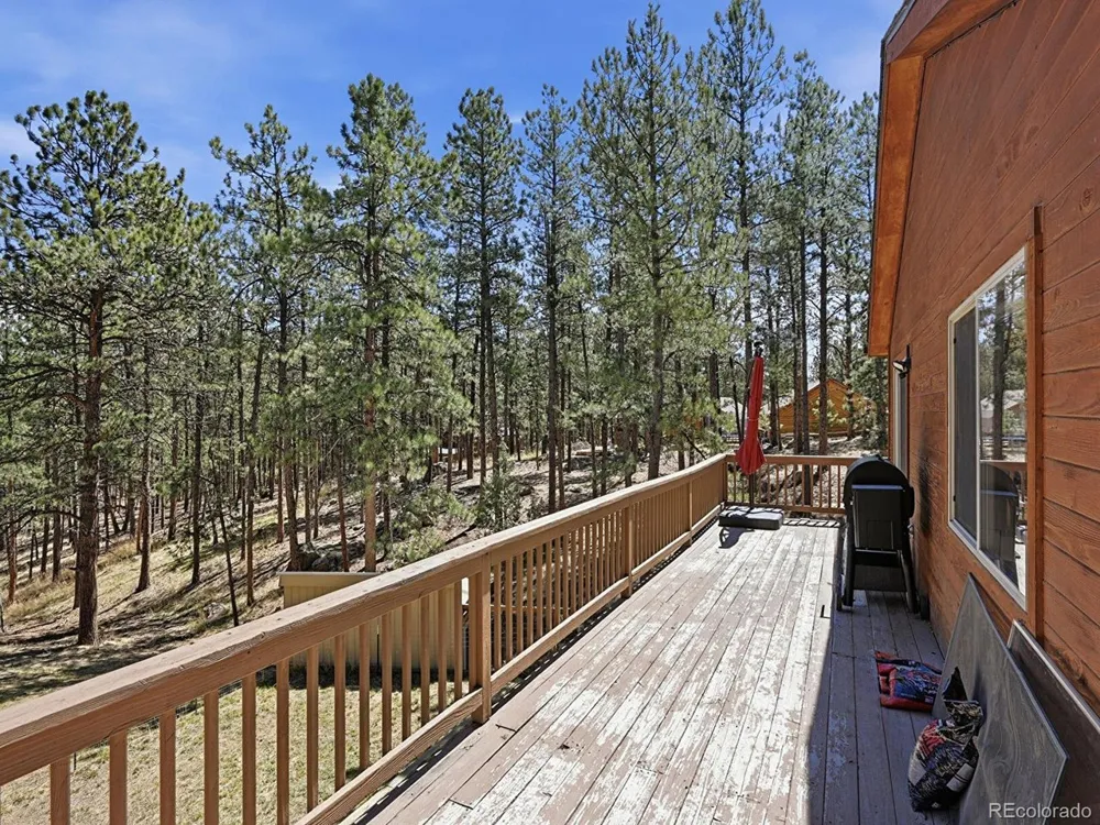 234 Impala Trail Bailey, CO 80421