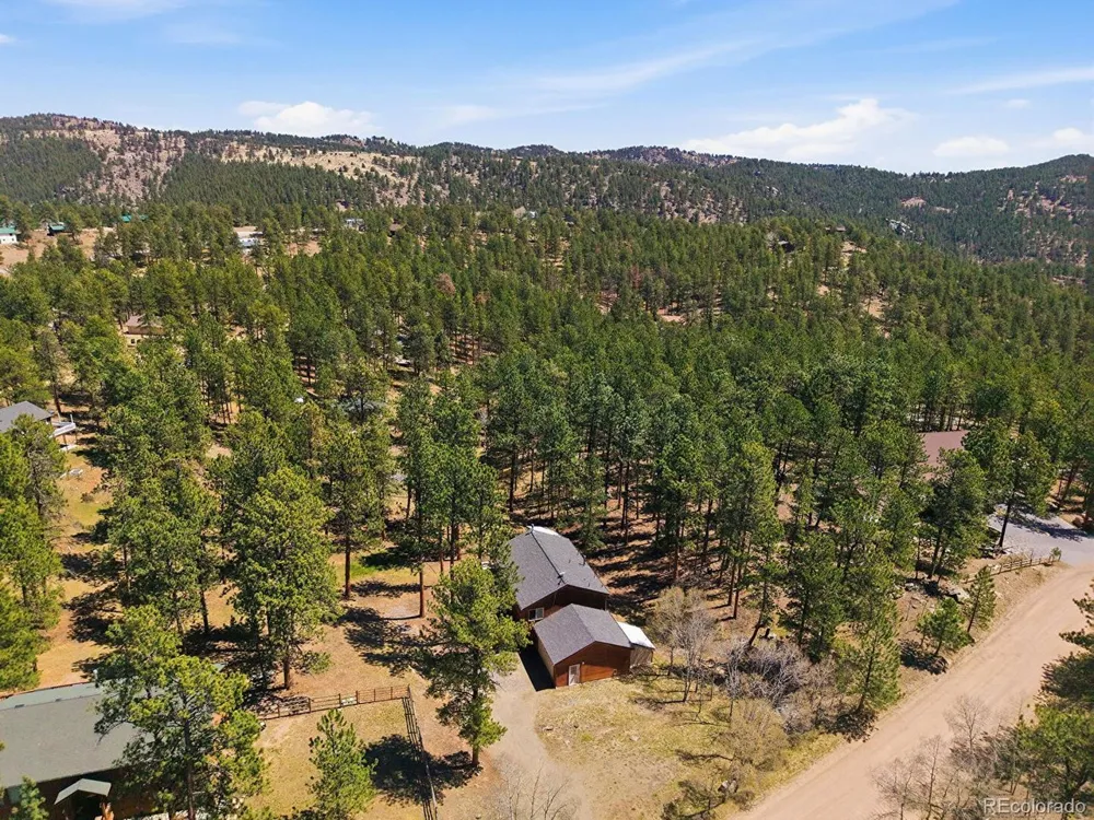 234 Impala Trail Bailey, CO 80421
