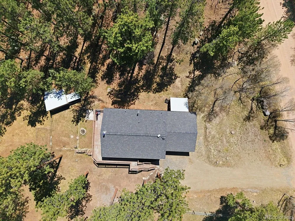234 Impala Trail Bailey, CO 80421