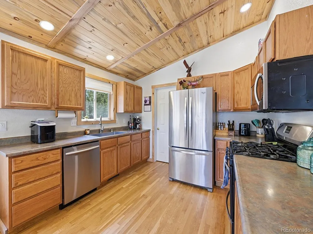 234 Impala Trail Bailey, CO 80421