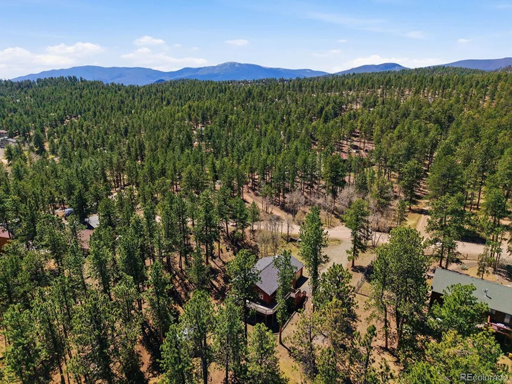 234 Impala Trail Bailey, CO 80421