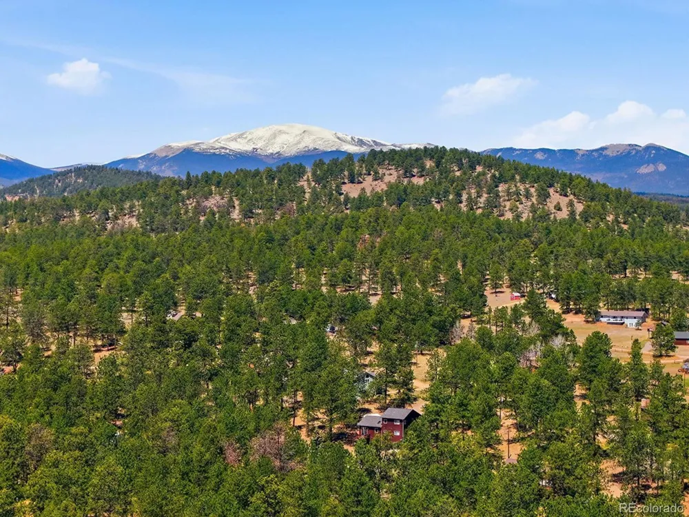 234 Impala Trail Bailey, CO 80421