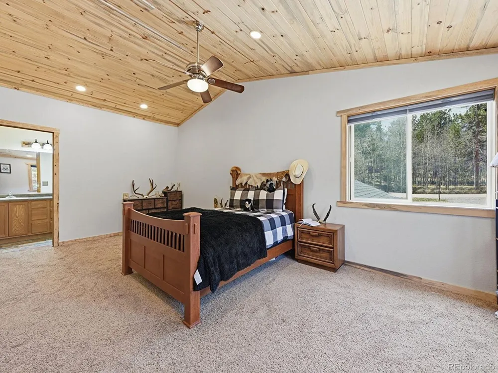 234 Impala Trail Bailey, CO 80421