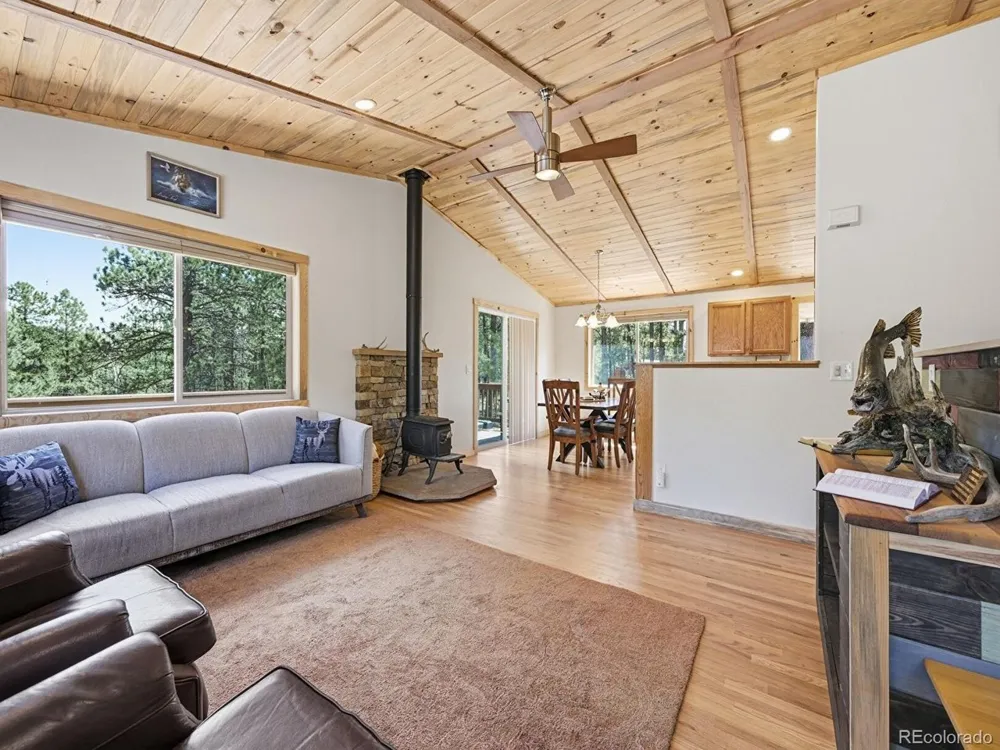 234 Impala Trail Bailey, CO 80421