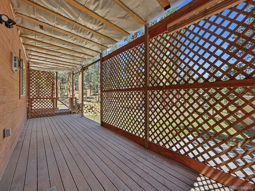 234 Impala Trail Bailey, CO 80421