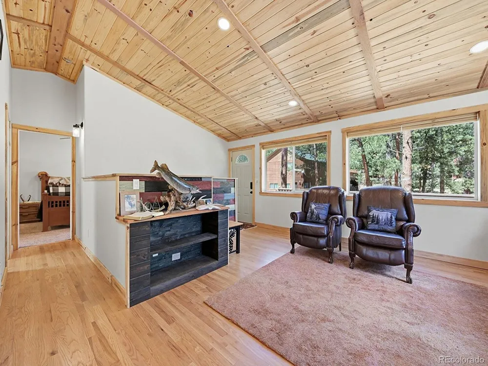 234 Impala Trail Bailey, CO 80421
