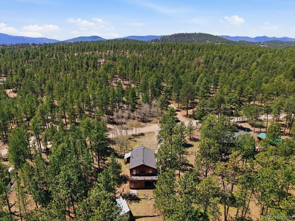 234 Impala Trail Bailey, CO 80421