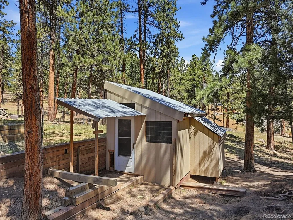 234 Impala Trail Bailey, CO 80421