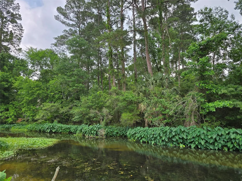 98 Indian Creek Drive Panorama Village, TX 77304