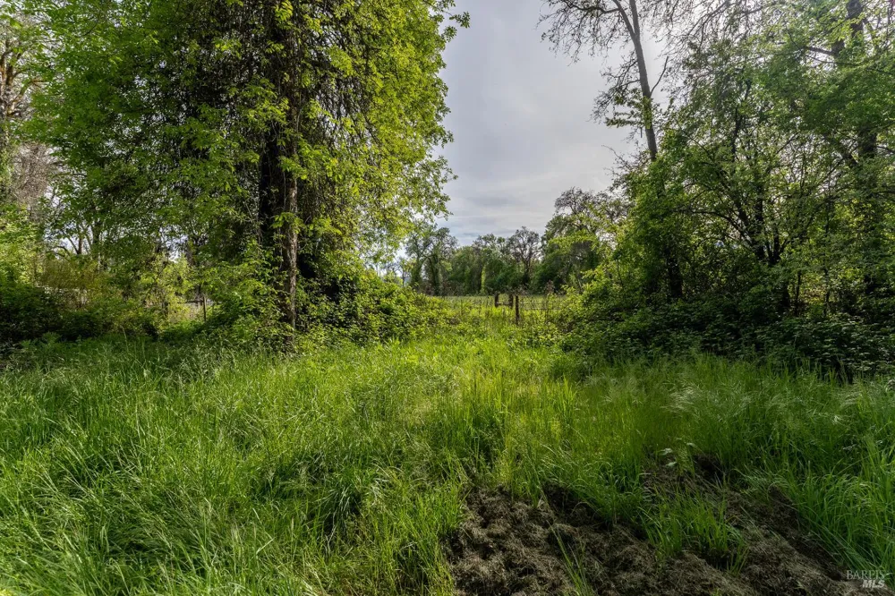 24271 Shady Lane Covelo, CA 95428