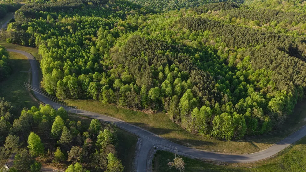 Thunder Ridge Drive South Pittsburg, TN 37380