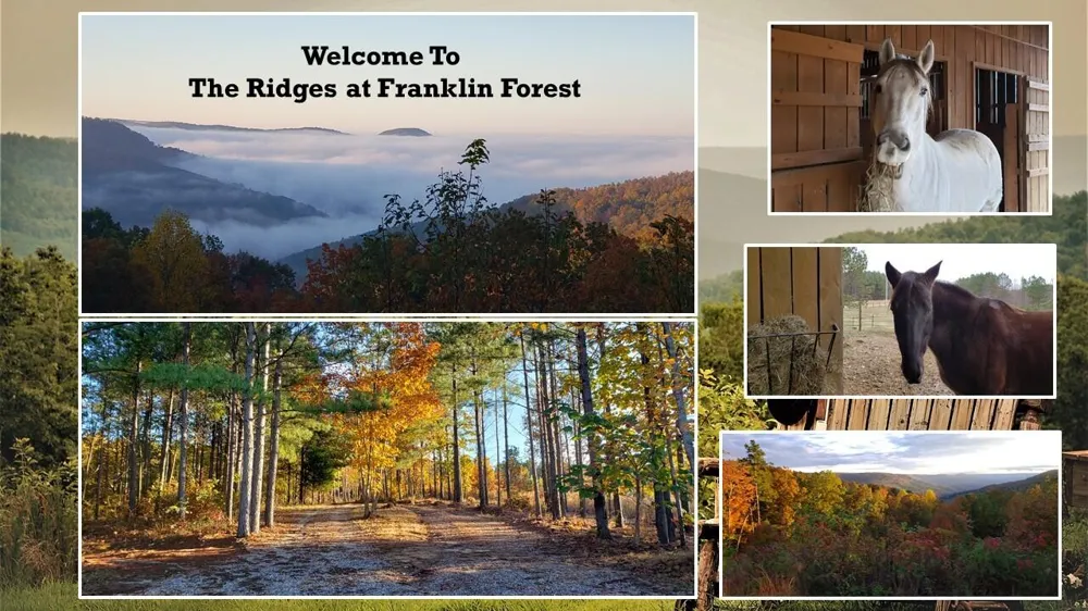 Thunder Ridge Drive South Pittsburg, TN 37380