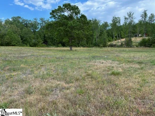 411 Bradley Dill Road Campobello, SC 29322