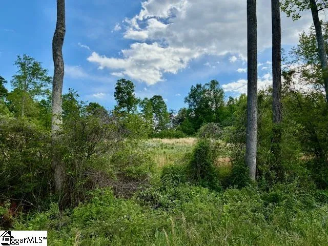 411 Bradley Dill Road Campobello, SC 29322