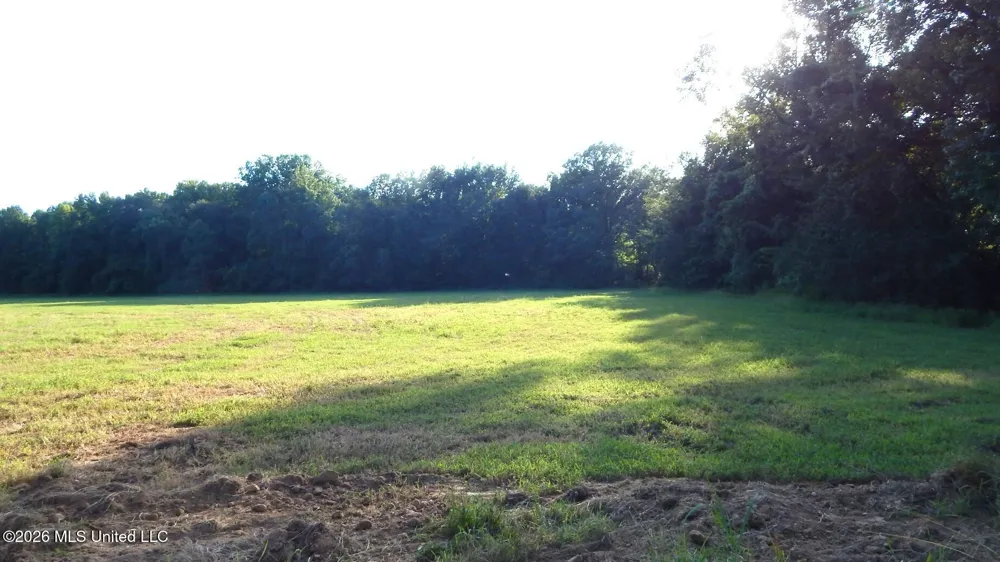 595 County Road 247 Bruce, MS 38915