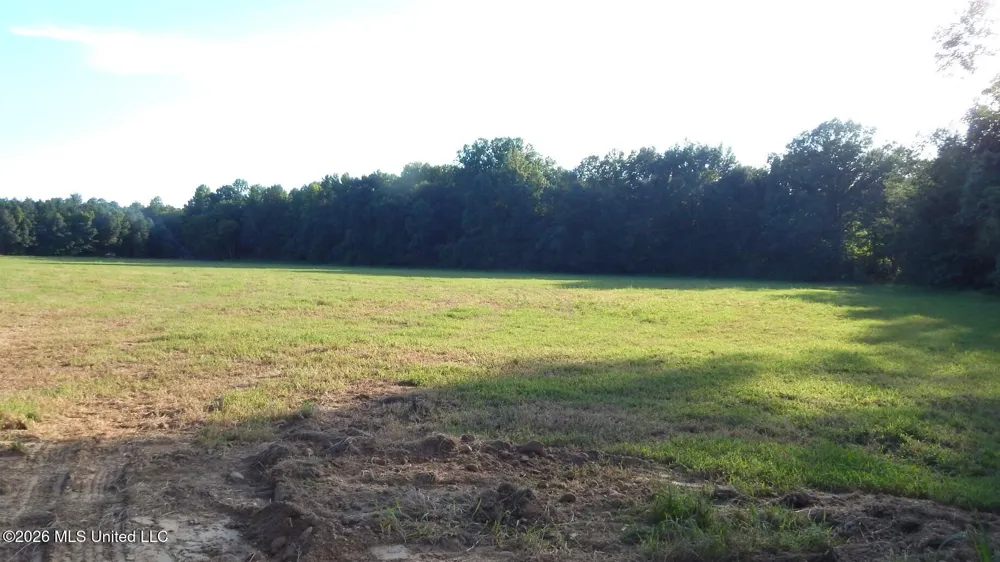 595 County Road 247 Bruce, MS 38915
