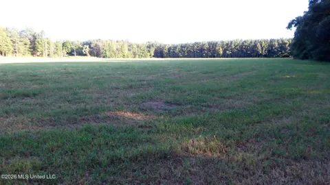 595 County Road 247