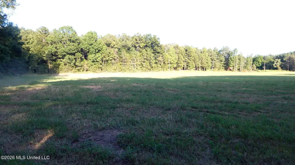 595 County Road 247 Bruce, MS 38915