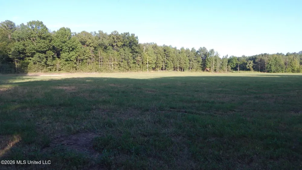 595 County Road 247 Bruce, MS 38915