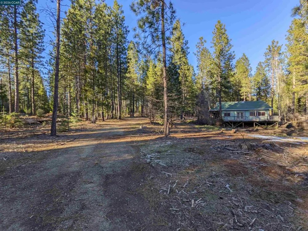 31874 State Highway 44 Shingletown, CA 96088