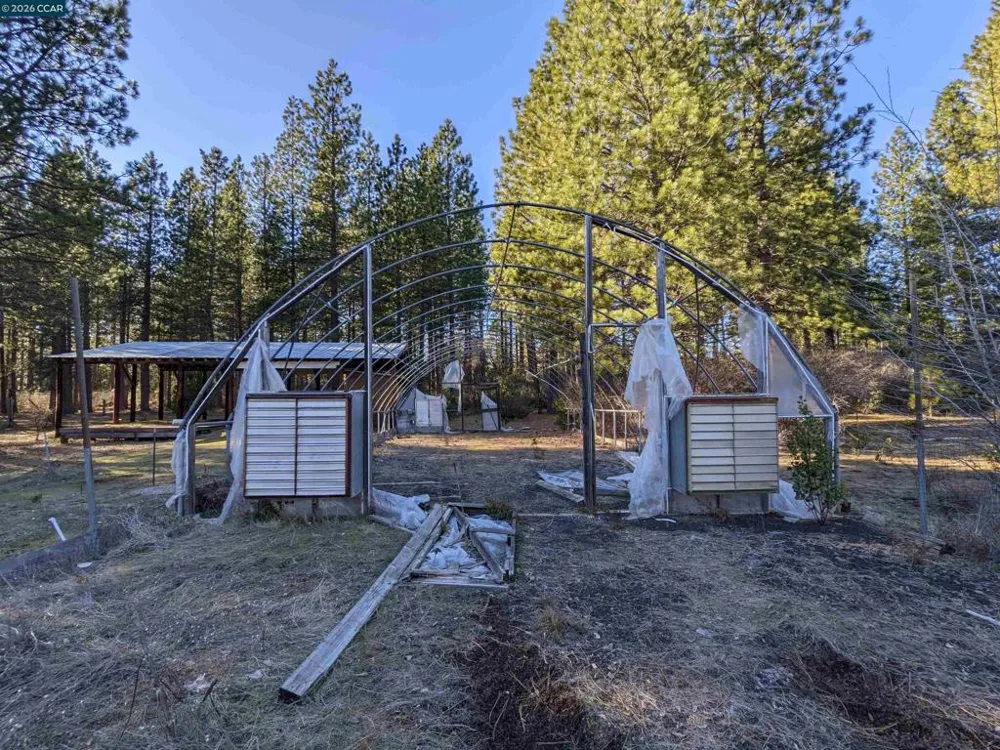 31874 State Highway 44 Shingletown, CA 96088