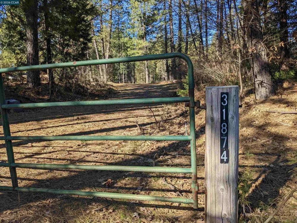 31874 State Highway 44 Shingletown, CA 96088