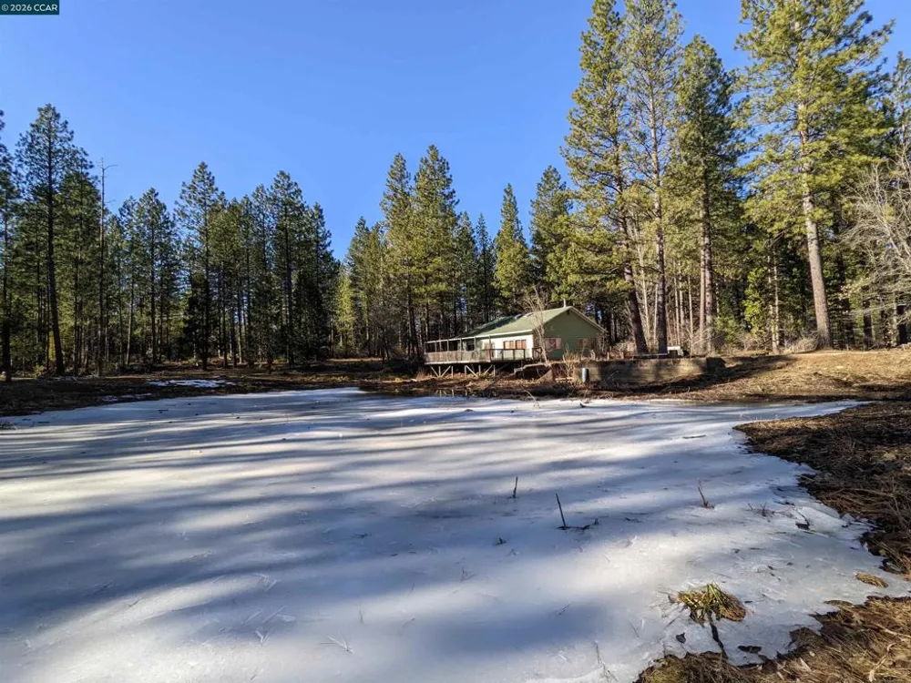 31874 State Highway 44 Shingletown, CA 96088