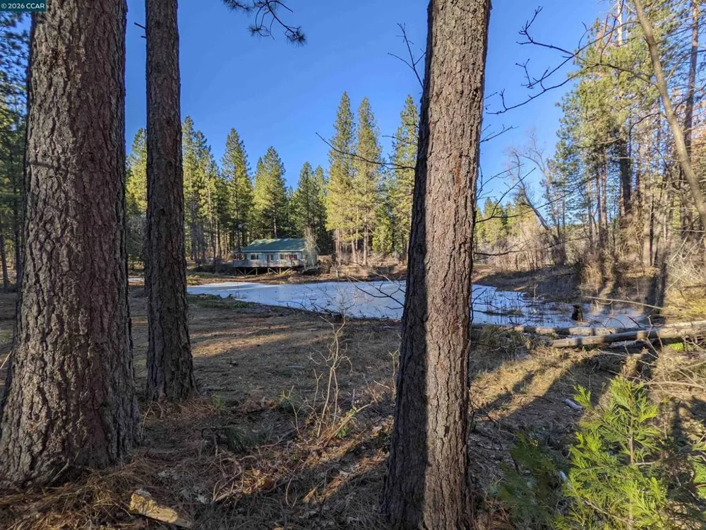 31874 State Highway 44 Shingletown, CA 96088