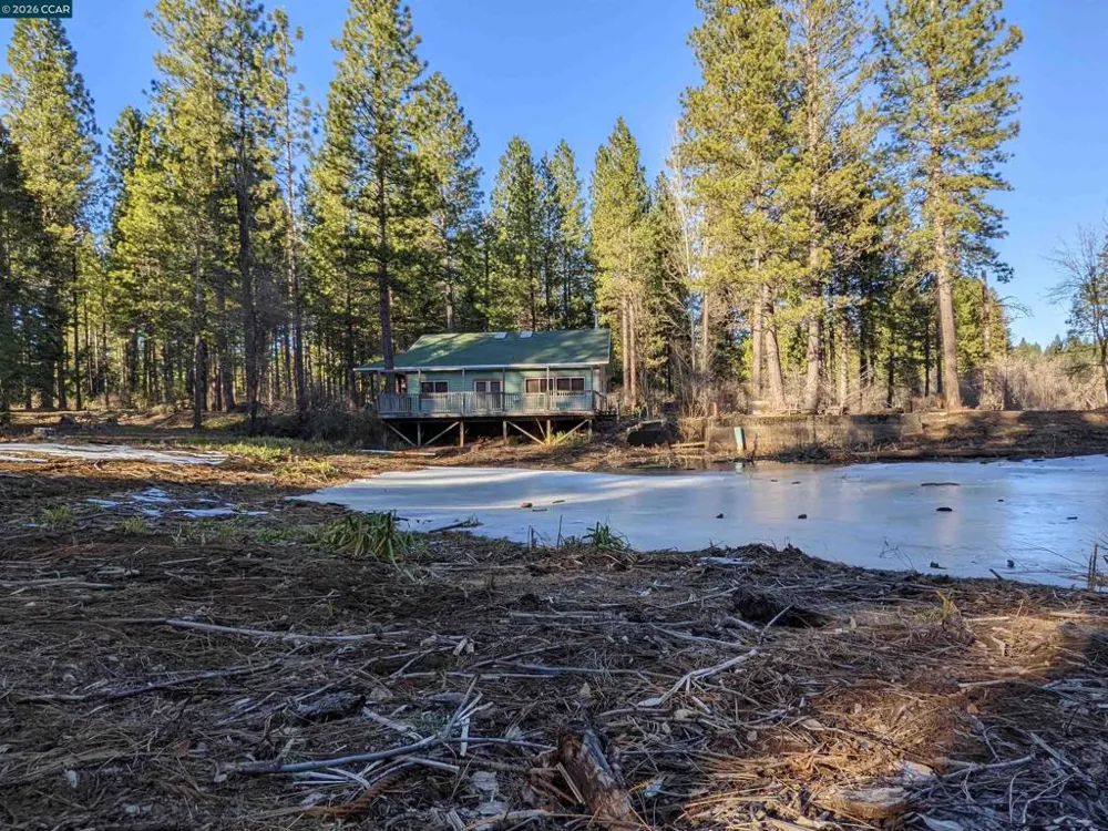 31874 State Highway 44 Shingletown, CA 96088