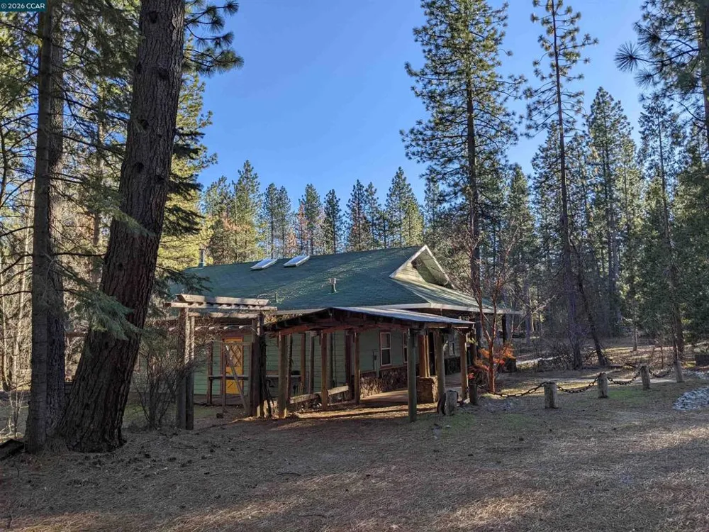 31874 State Highway 44 Shingletown, CA 96088
