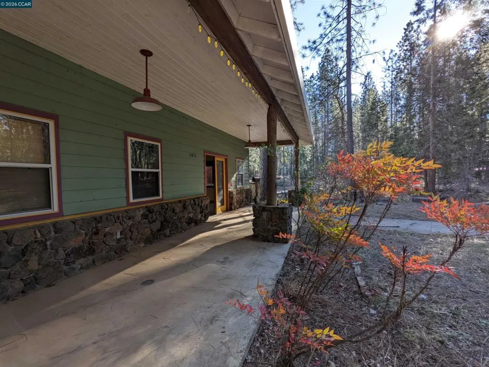 31874 State Highway 44 Shingletown, CA 96088