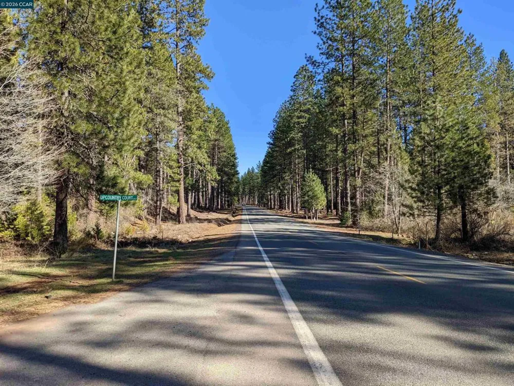31874 State Highway 44 Shingletown, CA 96088