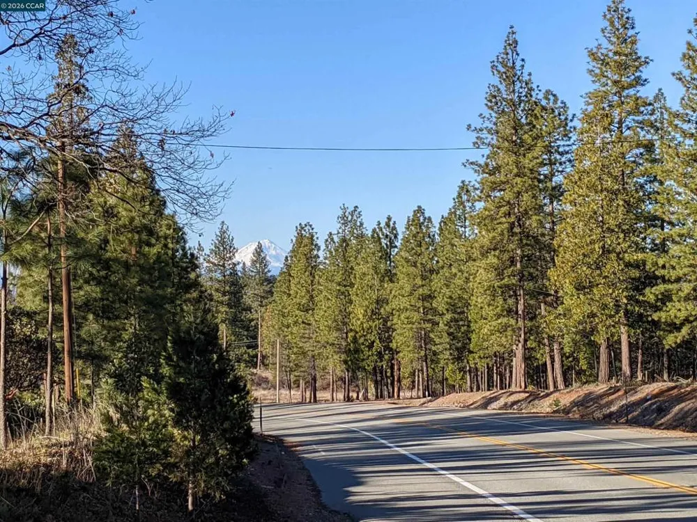31874 State Highway 44 Shingletown, CA 96088