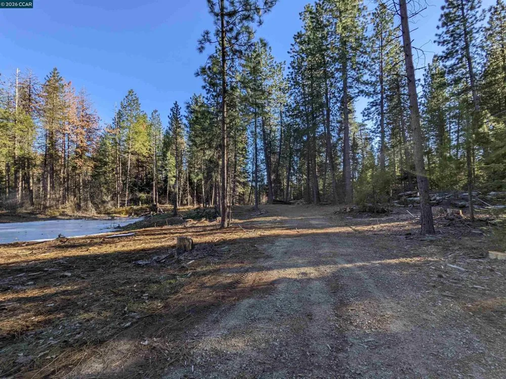 31874 State Highway 44 Shingletown, CA 96088