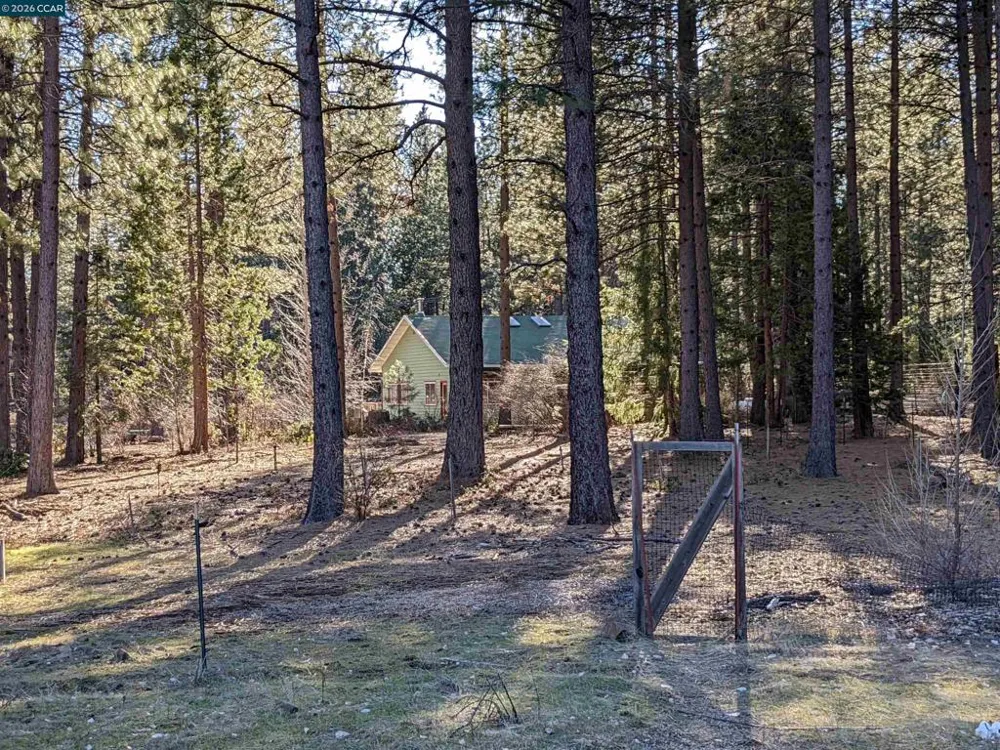 31874 State Highway 44 Shingletown, CA 96088