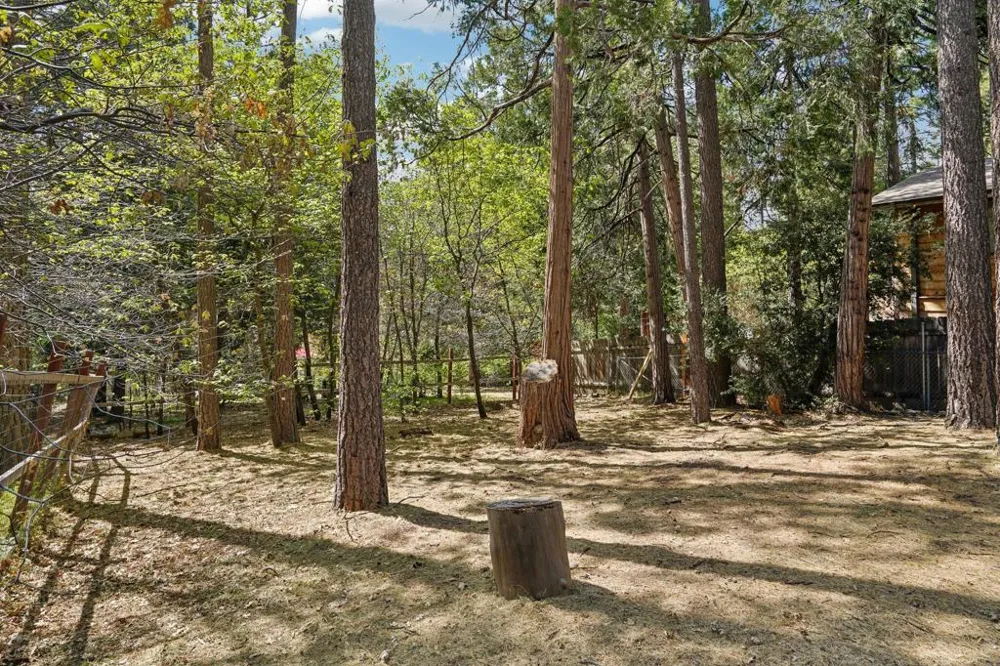 26011 Hemstreet Place Idyllwild, CA 92549